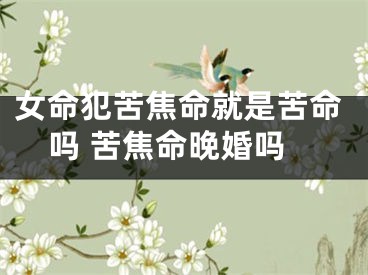 女命犯苦焦命就是苦命吗 苦焦命晚婚吗