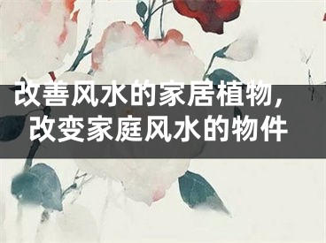 改善风水的家居植物,改变家庭风水的物件