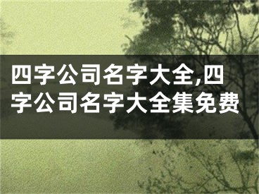 四字公司名字大全,四字公司名字大全集免费