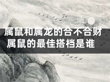属鼠和属龙的合不合财 属鼠的最佳搭档是谁