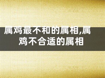 属鸡最不和的属相,属鸡不合适的属相