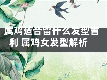 属鸡适合留什么发型吉利 属鸡女发型解析