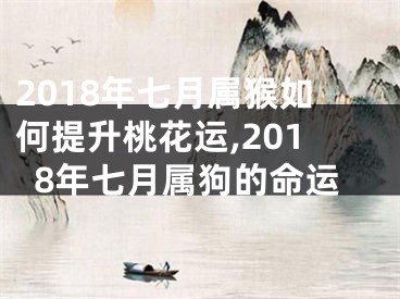 2018年七月属猴如何提升桃花运,2018年七月属狗的命运