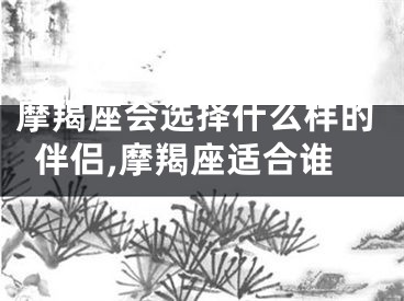 摩羯座会选择什么样的伴侣,摩羯座适合谁