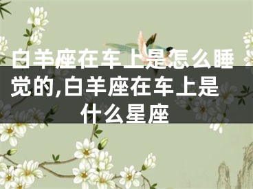 白羊座在车上是怎么睡觉的,白羊座在车上是什么星座