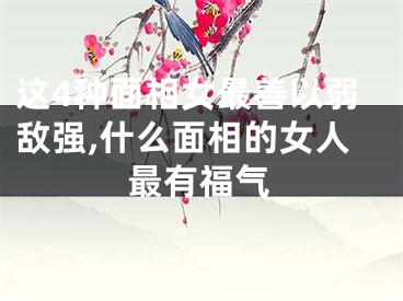 这4种面相女最善以弱敌强,什么面相的女人最有福气