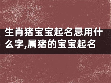 生肖猪宝宝起名忌用什么字,属猪的宝宝起名