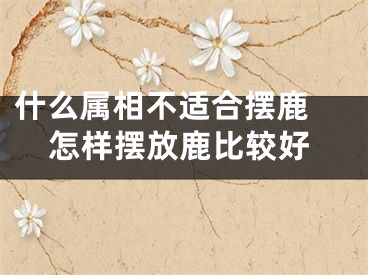 什么属相不适合摆鹿 怎样摆放鹿比较好
