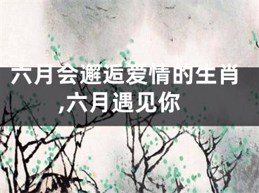 六月会邂逅爱情的生肖,六月遇见你