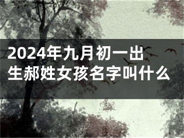 2024年九月初一出生郝姓女孩名字叫什么