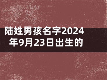 陆姓男孩名字2024年9月23日出生的