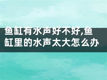 鱼缸有水声好不好,鱼缸里的水声太大怎么办