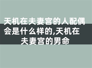 天机在夫妻宫的人配偶会是什么样的,天机在夫妻宫的男命
