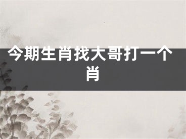 今期生肖找大哥打一个肖