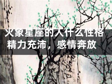 火象星座的人什么性格 精力充沛，感情奔放