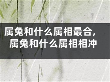 属兔和什么属相最合,属兔和什么属相相冲