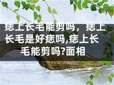 痣上长毛能剪吗，痣上长毛是好痣吗,痣上长毛能剪吗?面相