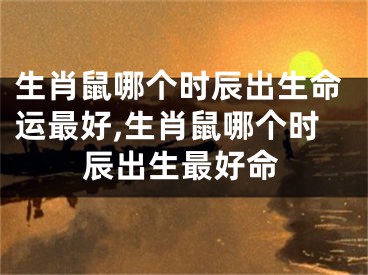 生肖鼠哪个时辰出生命运最好,生肖鼠哪个时辰出生最好命