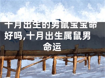 十月出生的男鼠宝宝命好吗,十月出生属鼠男命运