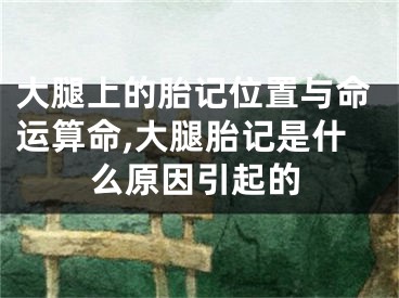 大腿上的胎记位置与命运算命,大腿胎记是什么原因引起的