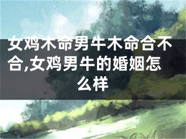 女鸡木命男牛木命合不合,女鸡男牛的婚姻怎么样