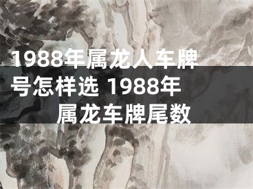 1988年属龙人车牌号怎样选 1988年属龙车牌尾数