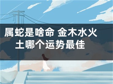 属蛇是啥命 金木水火土哪个运势最佳 