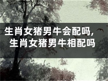 生肖女猪男牛会配吗,生肖女猪男牛相配吗