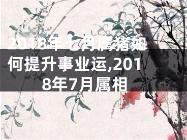 2018年七月属猪如何提升事业运,2018年7月属相