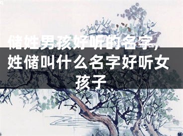 储姓男孩好听的名字,姓储叫什么名字好听女孩子