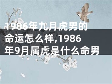 1986年九月虎男的命运怎么样,1986年9月属虎是什么命男