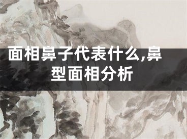 面相鼻子代表什么,鼻型面相分析