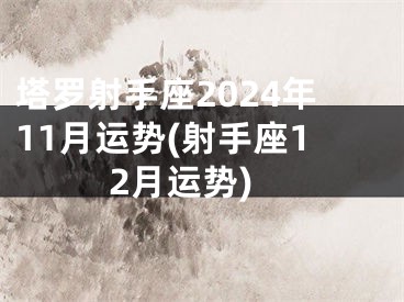 塔罗射手座2024年11月运势(射手座12月运势)