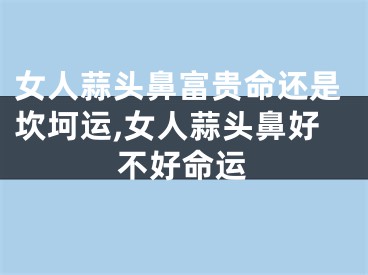 女人蒜头鼻富贵命还是坎坷运,女人蒜头鼻好不好命运