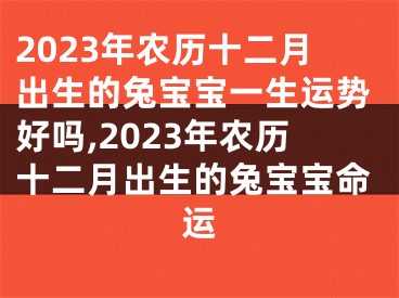 2023年农历十二月出生的兔宝宝一生运势好吗,2023年农历十二月出生的兔宝宝命运