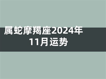 属蛇摩羯座2024年11月运势