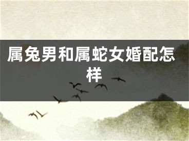 属兔男和属蛇女婚配怎样