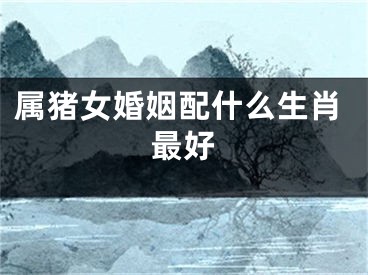 属猪女婚姻配什么生肖最好