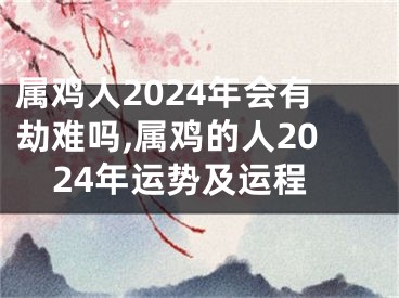 属鸡人2024年会有劫难吗,属鸡的人2024年运势及运程
