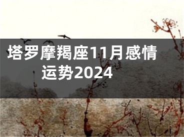 塔罗摩羯座11月感情运势2024