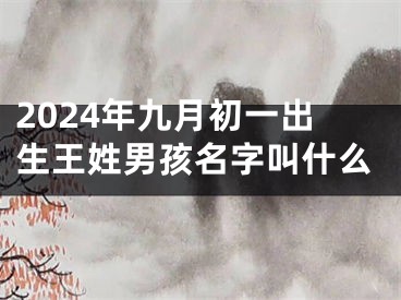 2024年九月初一出生王姓男孩名字叫什么