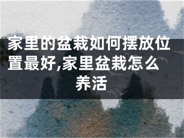 家里的盆栽如何摆放位置最好,家里盆栽怎么养活