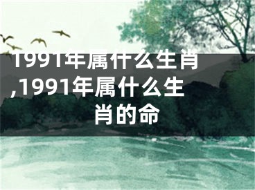 1991年属什么生肖,1991年属什么生肖的命