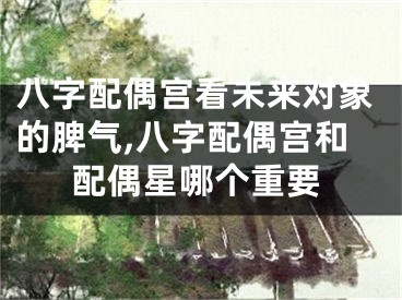 八字配偶宫看未来对象的脾气,八字配偶宫和配偶星哪个重要