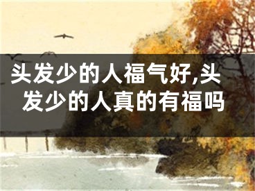 头发少的人福气好,头发少的人真的有福吗