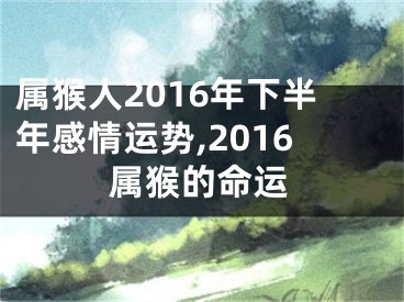 属猴人2016年下半年感情运势,2016属猴的命运