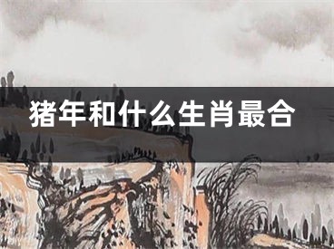 猪年和什么生肖最合