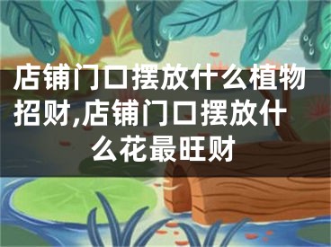 店铺门口摆放什么植物招财,店铺门口摆放什么花最旺财
