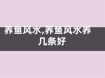 养鱼风水,养鱼风水养几条好