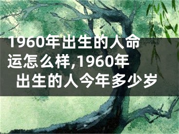 1960年出生的人命运怎么样,1960年出生的人今年多少岁
